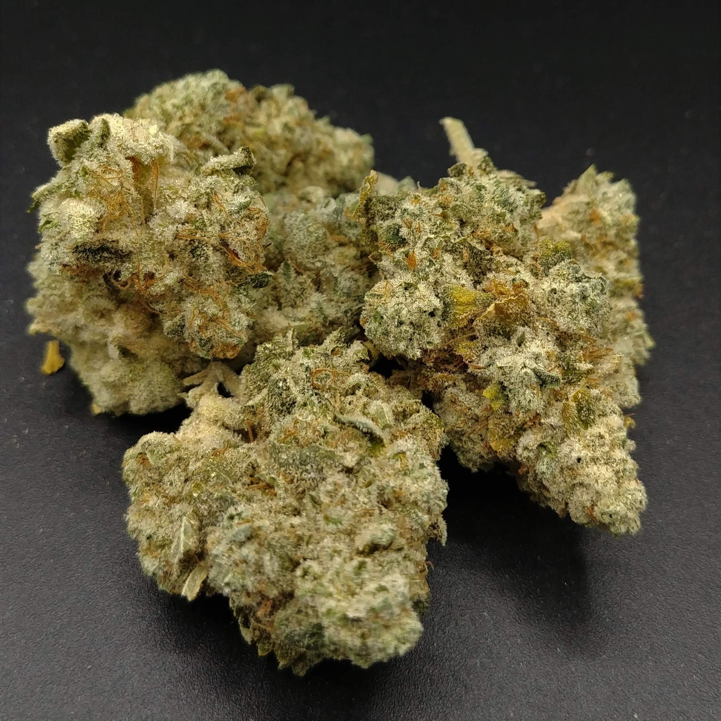(REC) GG#4